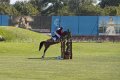 Showjumping - Consolation competition